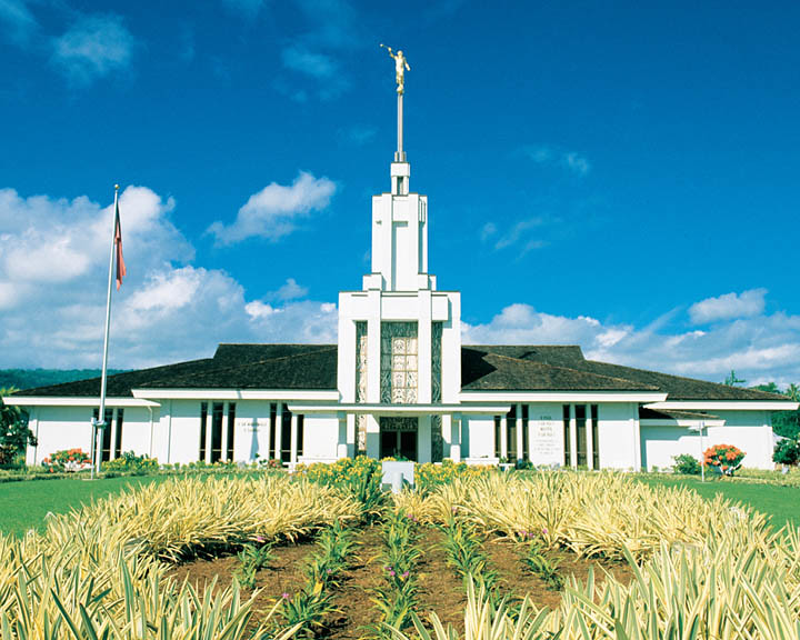 File:4293.jpg